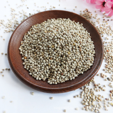 High quality white perilla seeds for low price sale perilla seeds